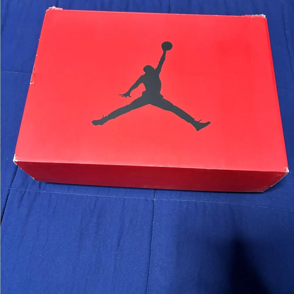 Jordan 6 Retro Toro Bravo 2023 Size 11
